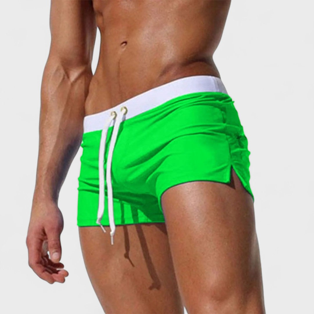 Hudson | Artisan Swim Shorts