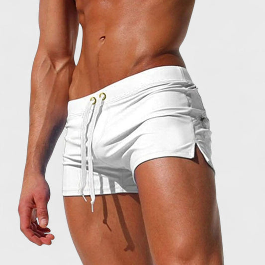 Hudson | Artisan Swim Shorts
