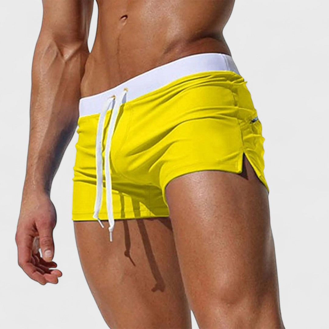 Hudson | Artisan Swim Shorts